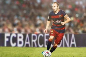 小巨人崛起：身材不高但技术出众的球员故事，小さな巨人