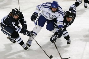 国家队势如破竹，连番胜利助军团冲向夺冠之路，国家队のエロマ