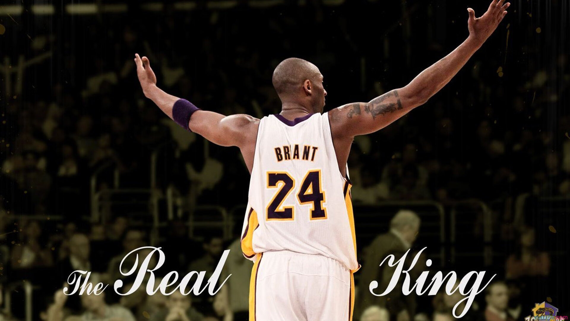 _城市高空冲浪：极限运动新体验_，水上高空冲浪